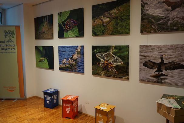 Fotografien von Robert „Dackel“ Hirmer