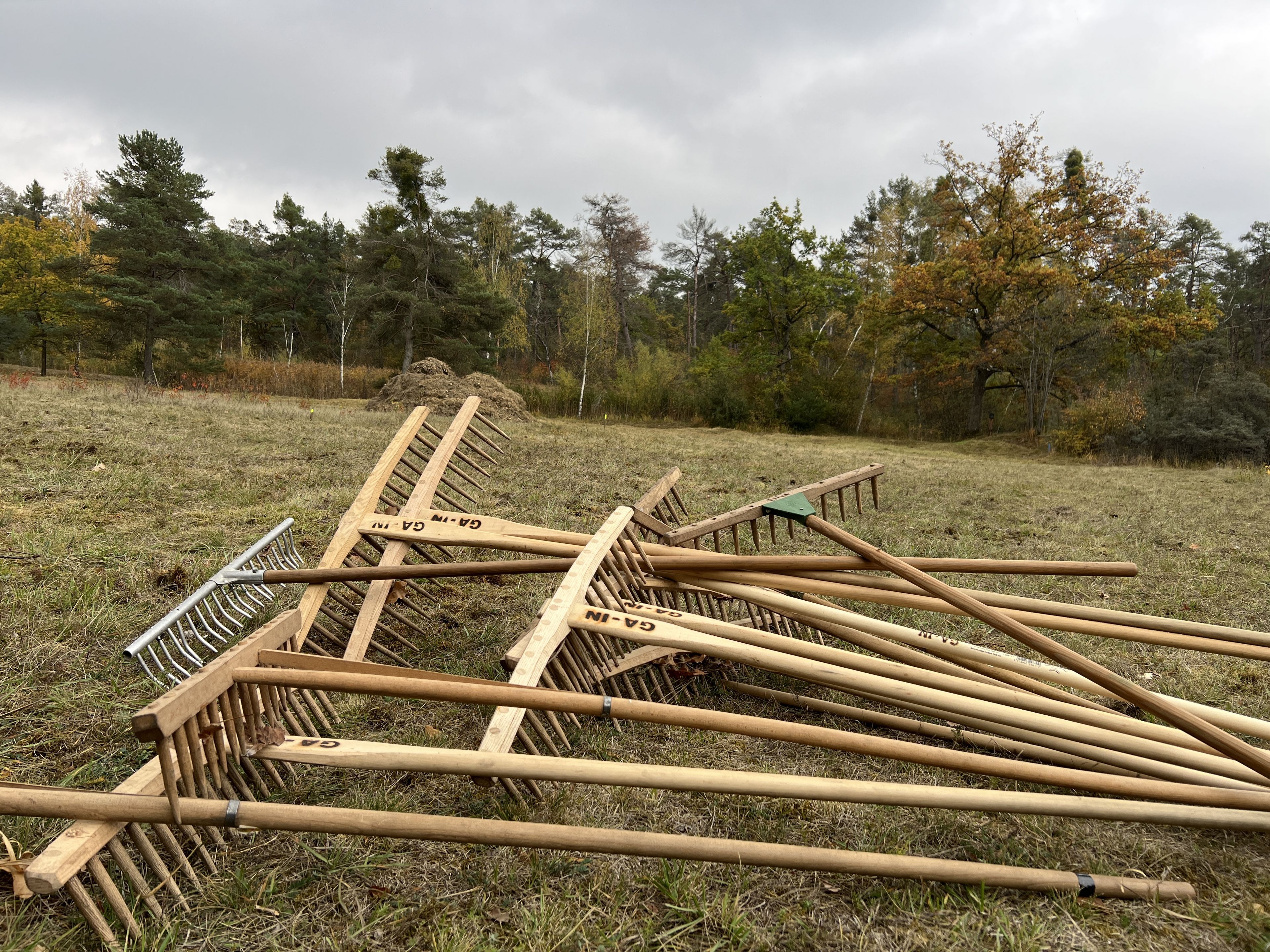 Holzrechensammlung